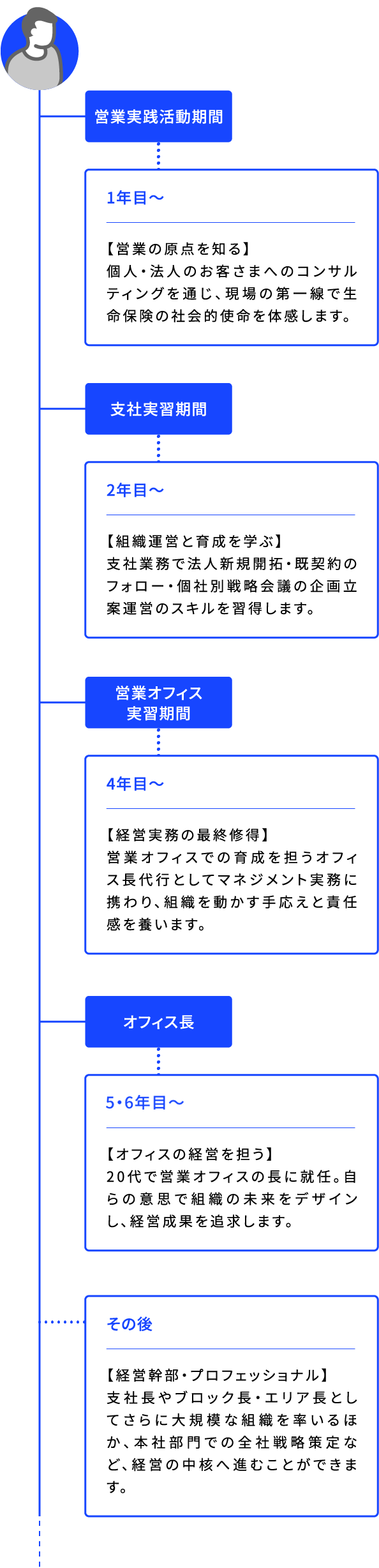 営業実践活動期間 1年目〜 【営業の原点を知る】個人・法人のお客さまへのコンサルティングを通じ、現場の第一線で生命保険の社会的使命を体感します。 支社実習期間 2年目〜 【組織運営と育成を学ぶ】支社業務で法人新規開拓・既契約のフォロー・個社別戦略会議の企画立案運営のスキルを習得します。 営業オフィス実習期間 4年目〜 【経営実務の最終修得】営業オフィスでの育成を担うオフィス長代行としてマネジメント実務に携わり、組織を動かす手応えと責任感を養います。 オフィス長 6年目〜 【オフィスの経営を担う】 20代で営業オフィスの長に就任。自らの意思で組織の未来をデザインし、経営成果を追求します。 その後 【経営幹部・プロフェッショナル】 支社長やブロック長・エリア長としてさらに大規模な組織を率いるほか、本社部門での全社戦略策定など、経営の中核へ進むことができます。
